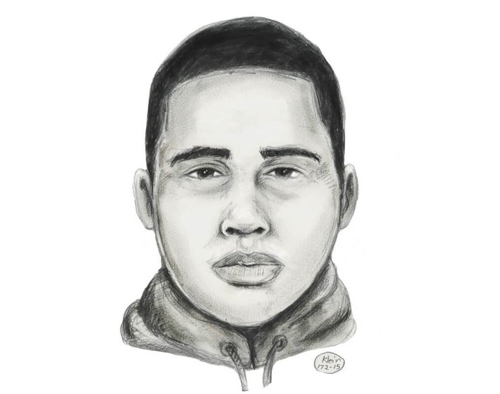 Sketch released in sexual assault of Bronx girl