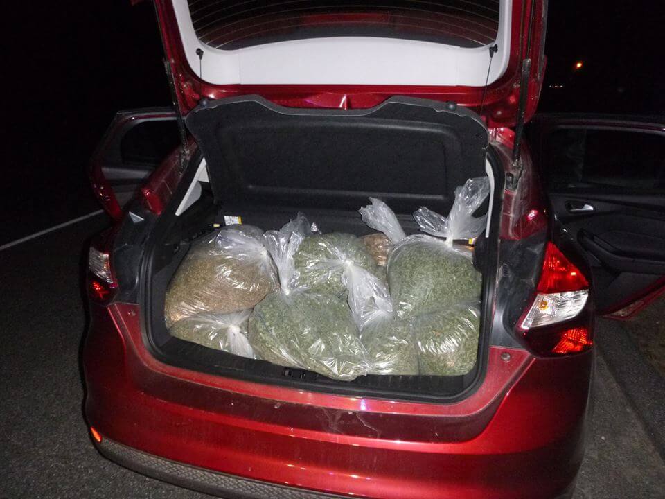 That’s a lot of weed: Boston man caught with 41 lbs of drug in Maine