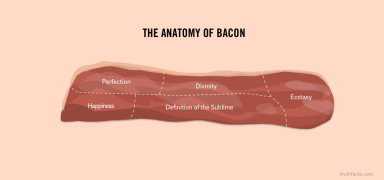 Truth Facts: The anatomy of bacon