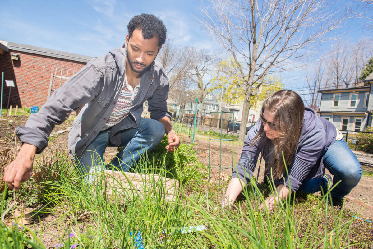 In time for Earth Day, CitySprouts brings gardening to Boston schools