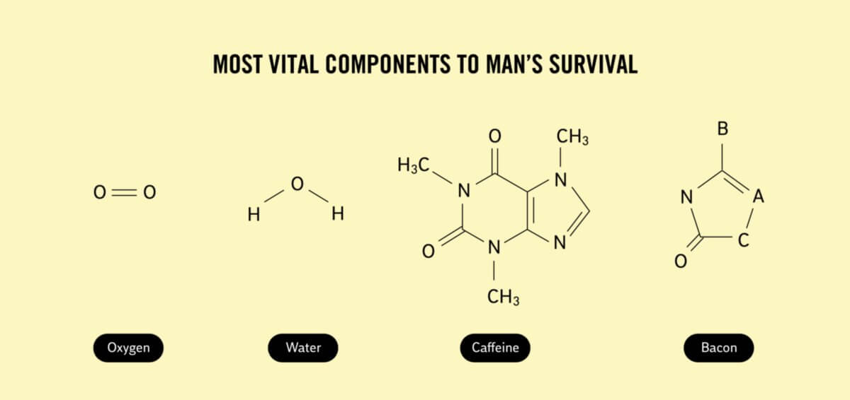 Truth Facts: The most vital components to man’s survival