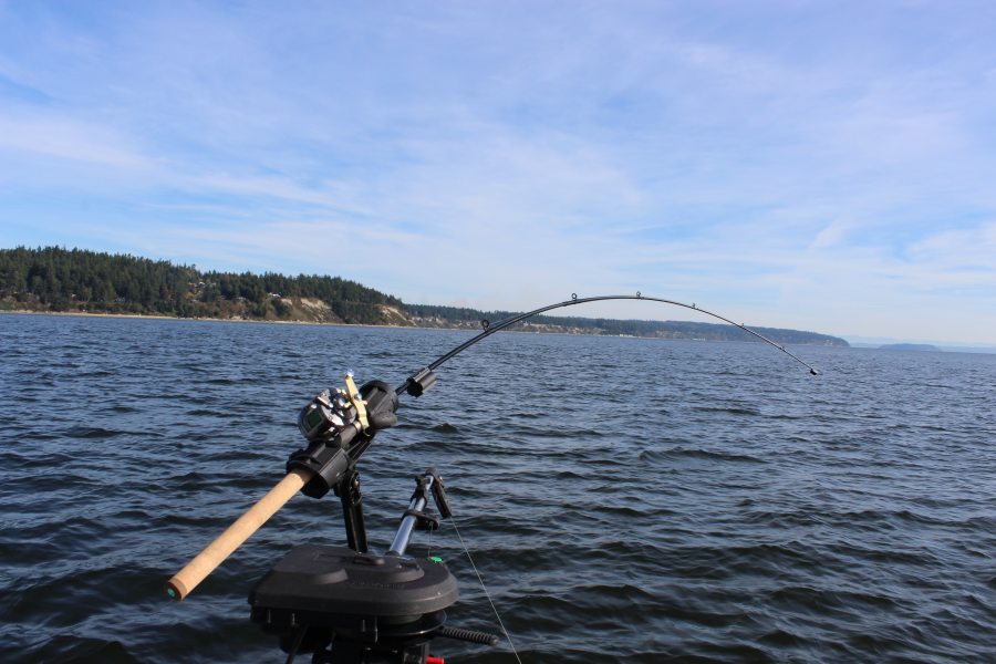 3 pc. lot of fishing rods; Ocean City Downrigger