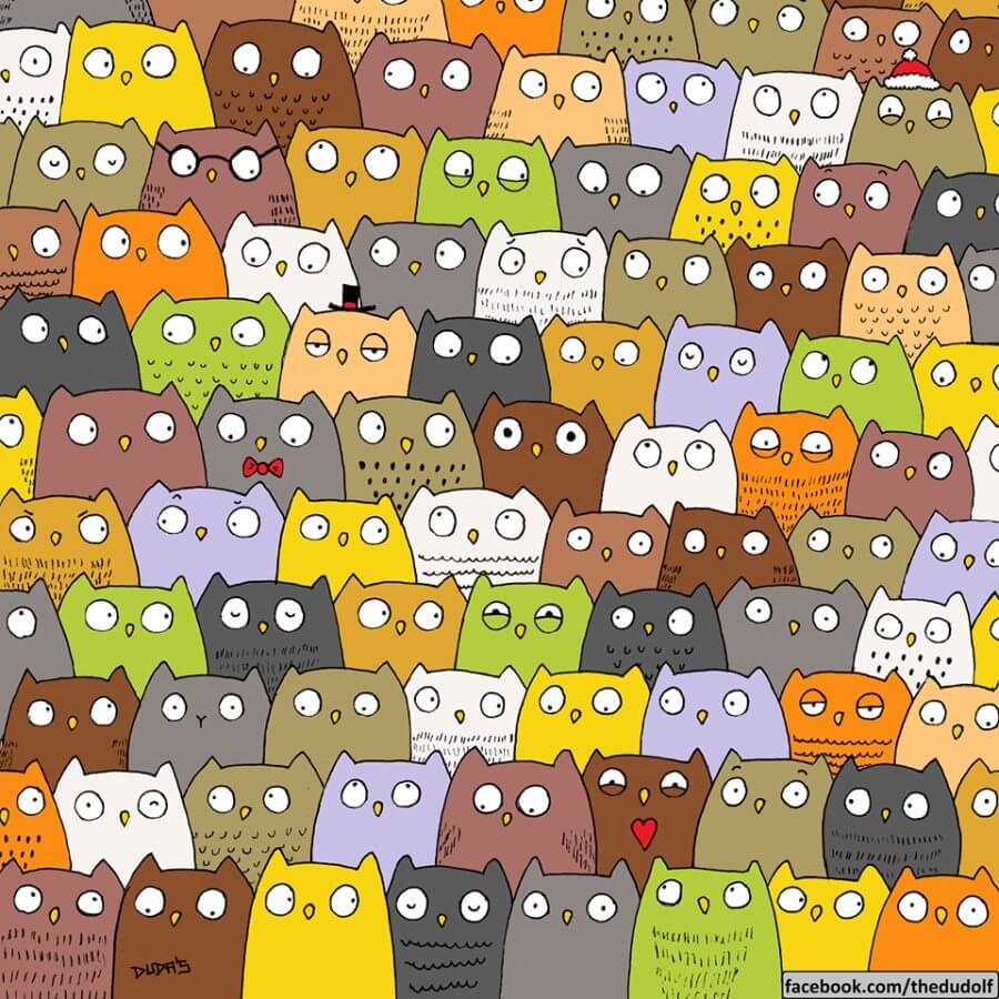 Artist who made #FindThePanda is back with owl and cat drawing