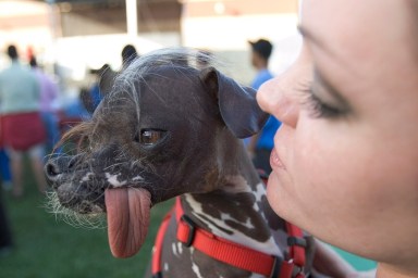 PHOTOS: Show some love for the ugly dogs on National Dog Day