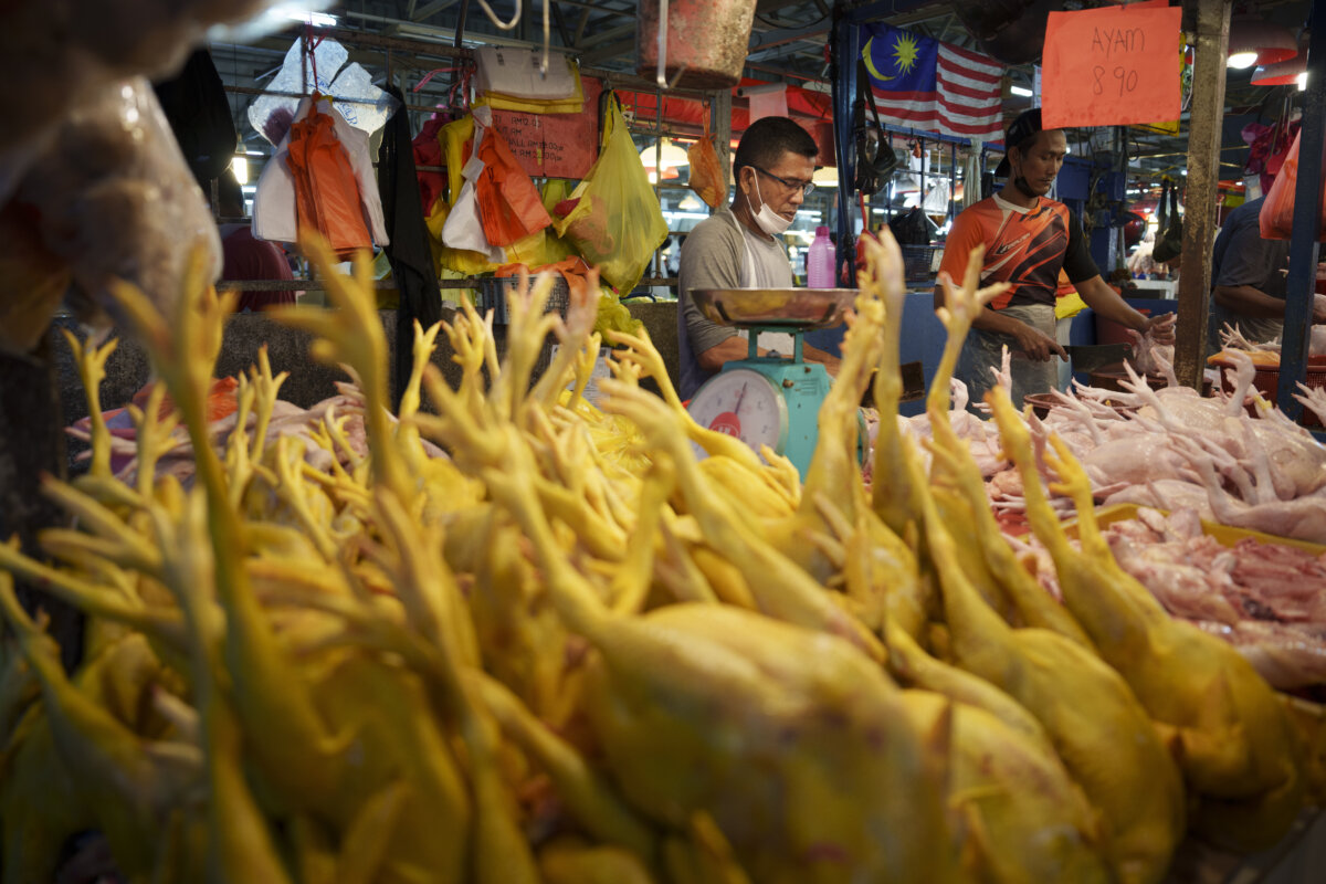 Malaysia Chicken Export Ban