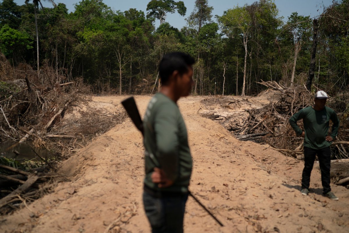 Amazon Rainforest Environmental Crimes