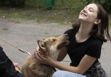 Russia Ukraine War Pet Shelter