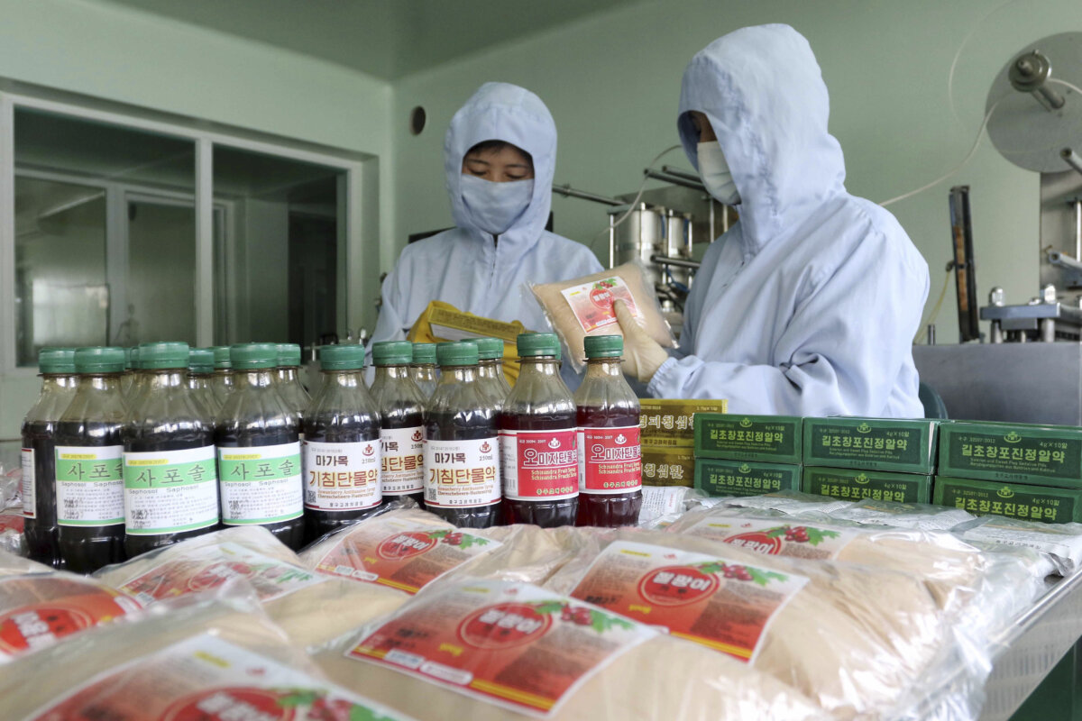 Virus Outbreak North Korea Traditional Medicine