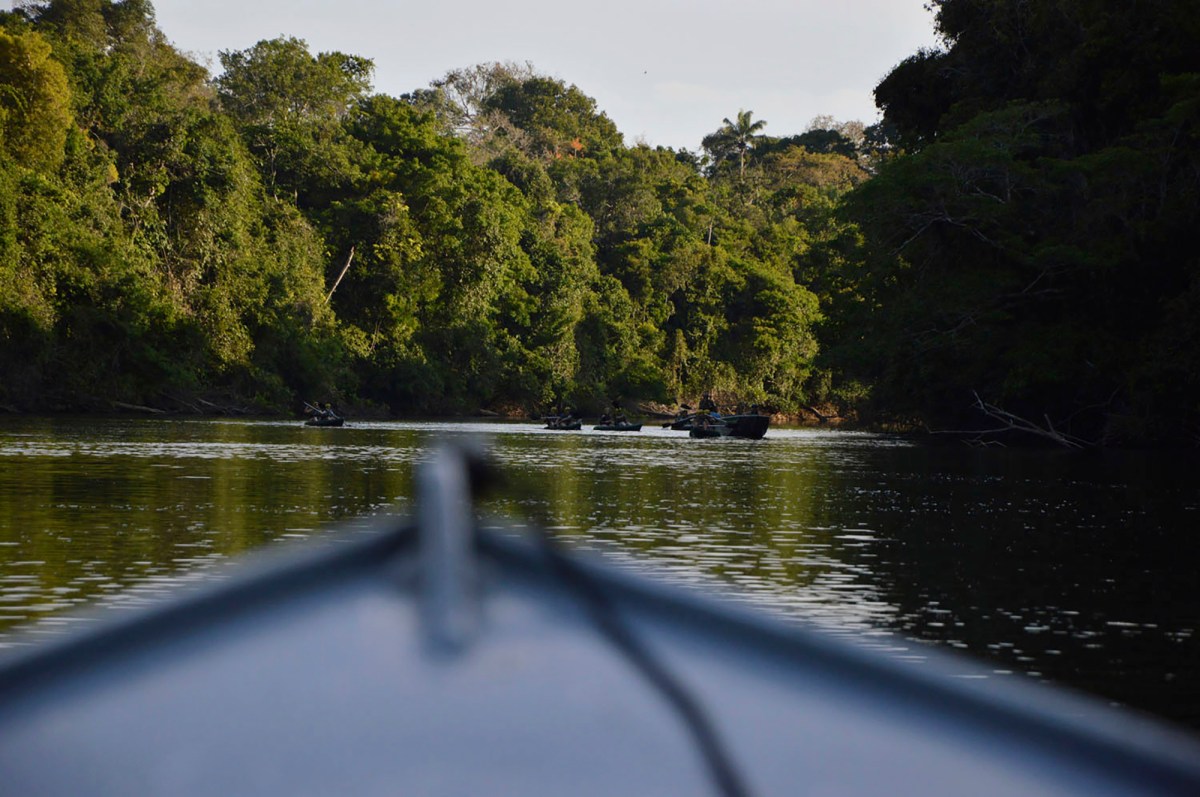 Brazil Amazon Court Revisits Land Protection