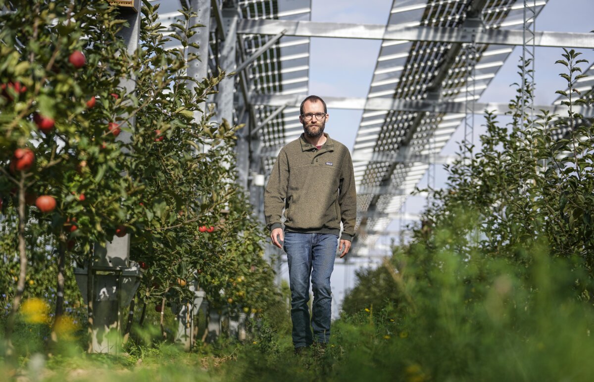 Germany Solar Agriculture