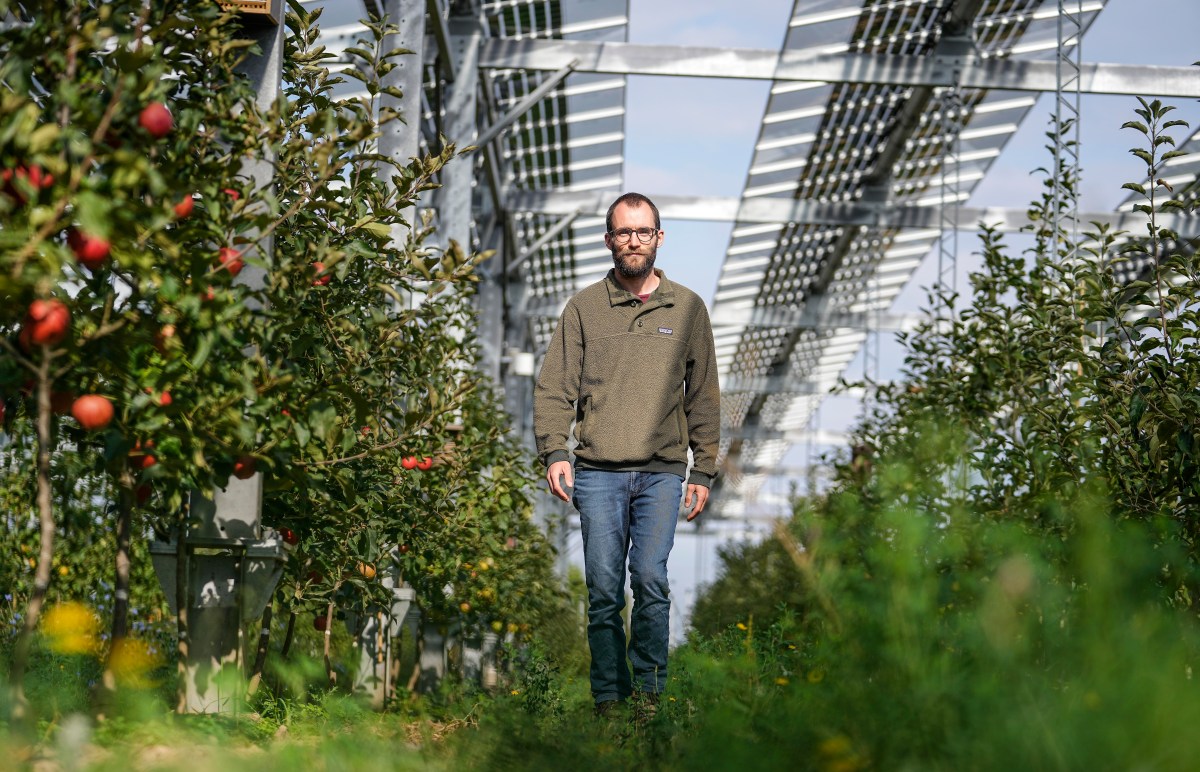 Germany Solar Agriculture