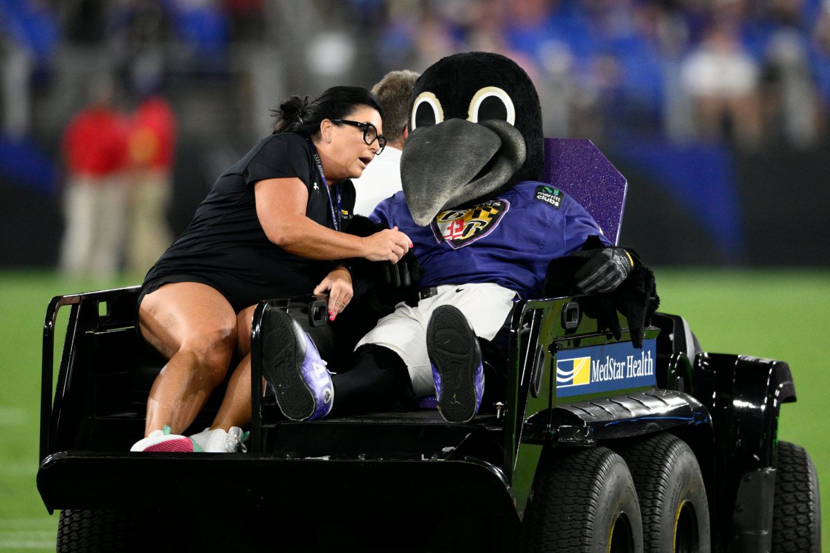 Ravens Mascot Injured