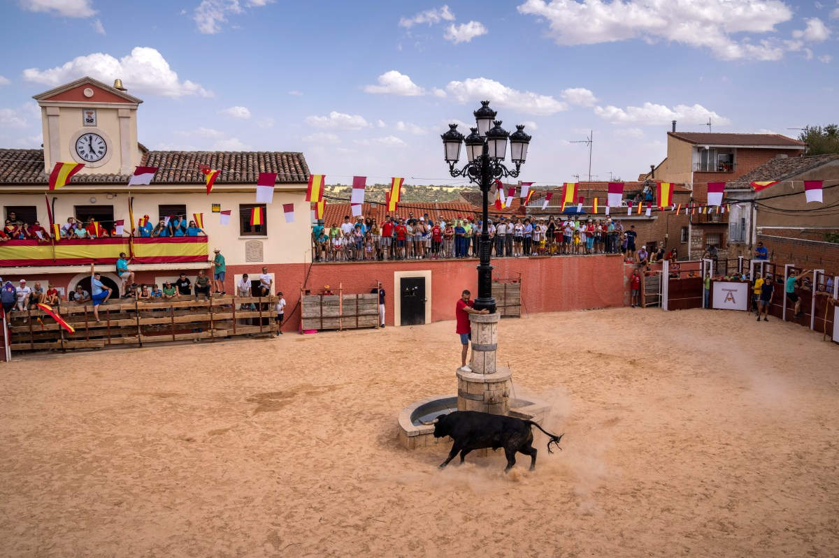 Spain Bull Festival Casualties