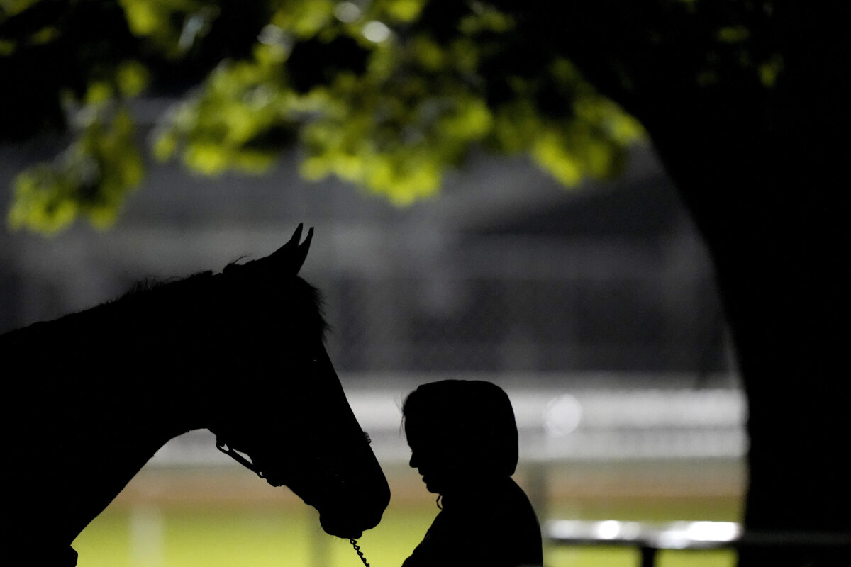 Churchill Downs investigates 4 horse deaths ahead of Derby Metro US