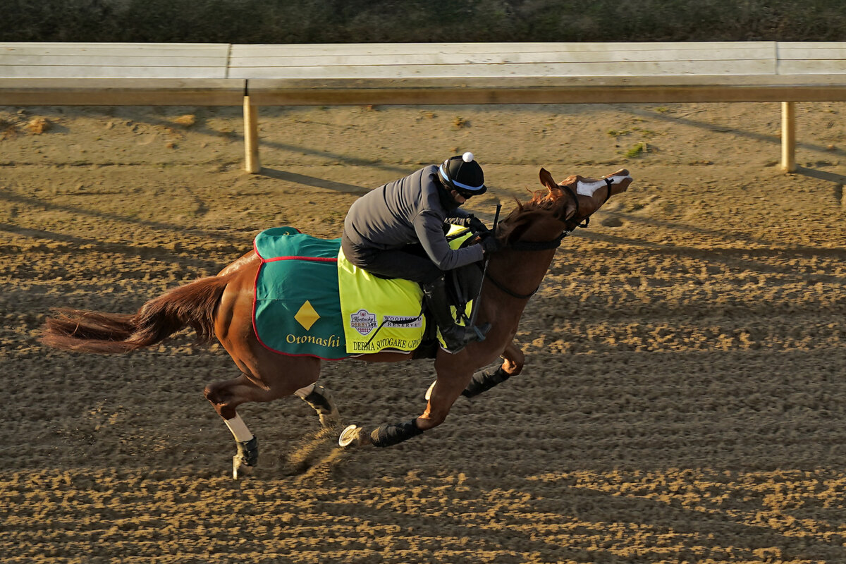 19 horses to tangle in wideopen 149th Kentucky Derby Metro US