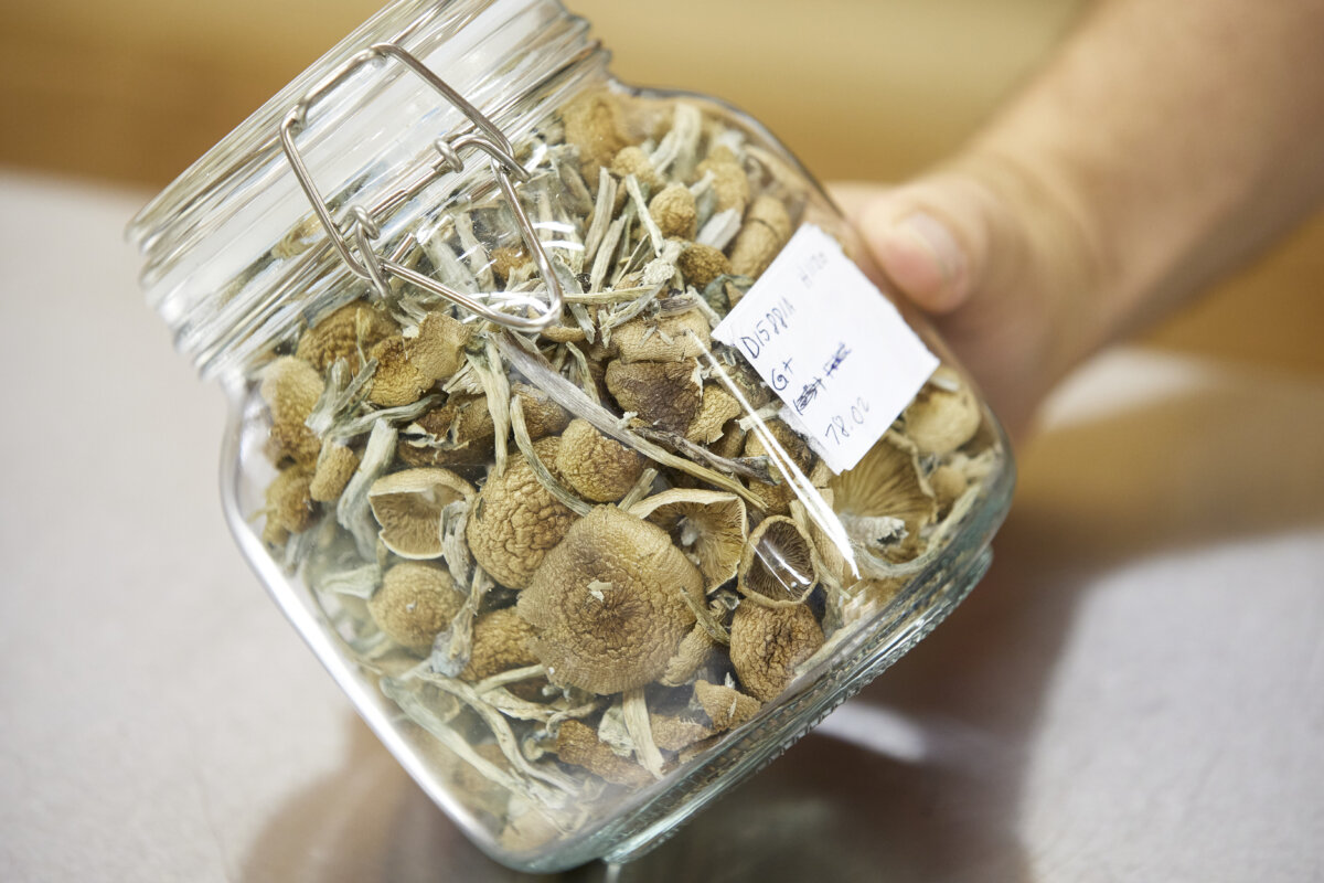 Oregon Magic Mushrooms