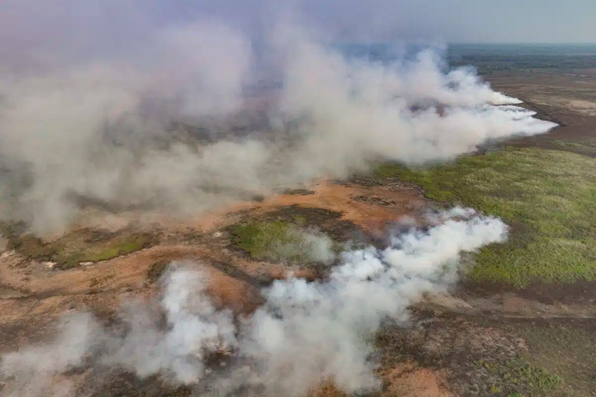 Brazil Wetlands Wildfires