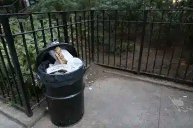 NYC Trash Bins