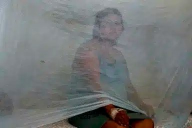 Peru Dengue