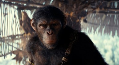 Film Review – Kingdom of the Planet of the Apes
