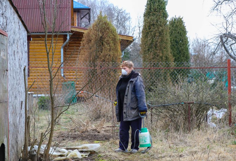 Liubov Kashaeva tends plants at her family’s country house near