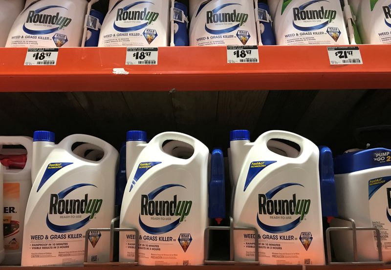 FILE PHOTO: Monsanto Co’s Roundup shown for sale in California