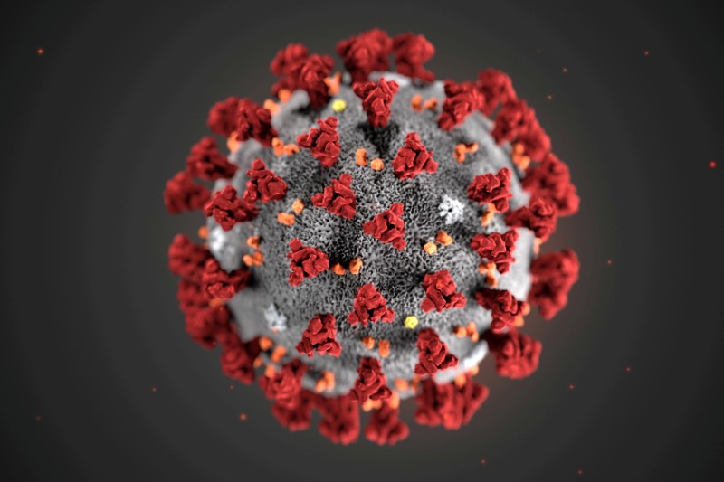 FILE PHOTO: An illustration, created at the Centers for Disease