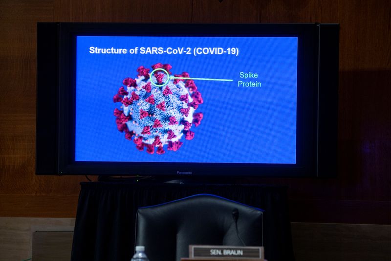 Senate panel holds hearing on COVID-19 vaccines, in Washington