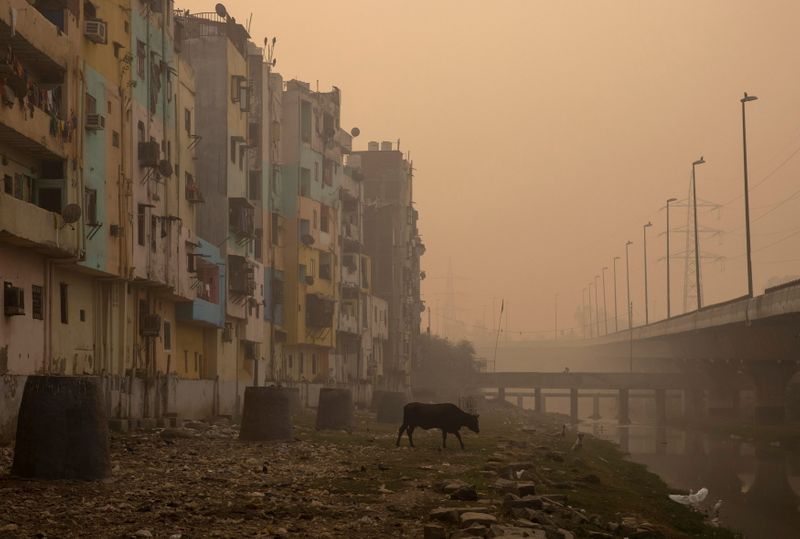 A residential area is seen shrouded in smog in New