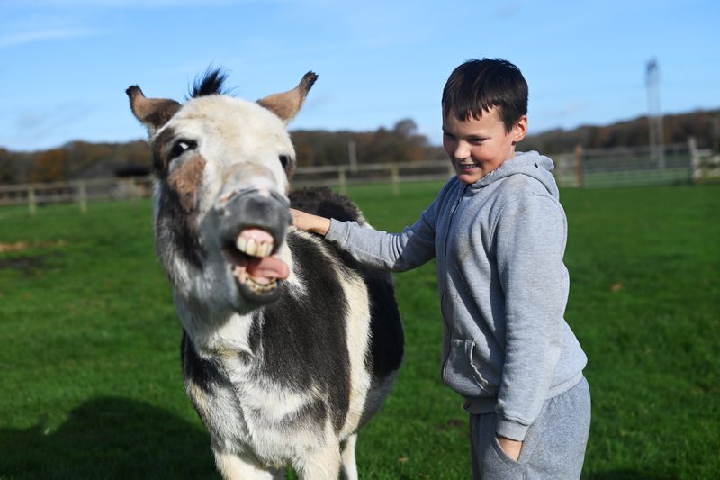 Harvey Fay relaxes as he tickles his favourite donkey Smurphy