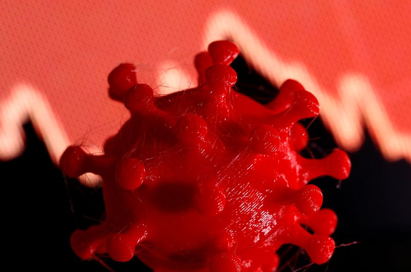 FILE PHOTO: A 3D-printed coronavirus model is seen in front