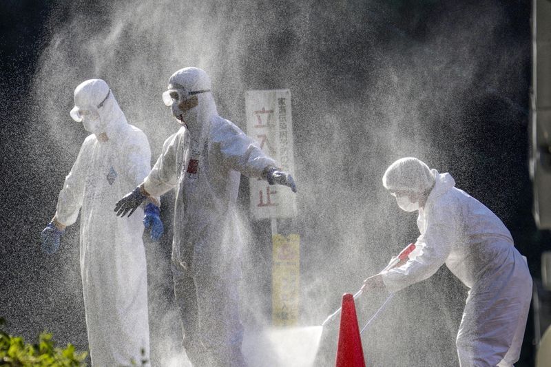 Officials in protective suits work at a chicken farm where