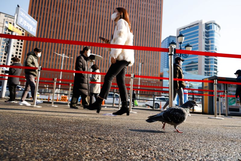 A pigeon walks past people who wait in a line