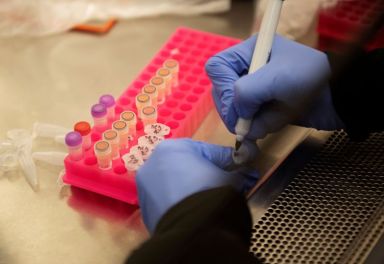 FILE PHOTO: Researchers set up new labs to help fight