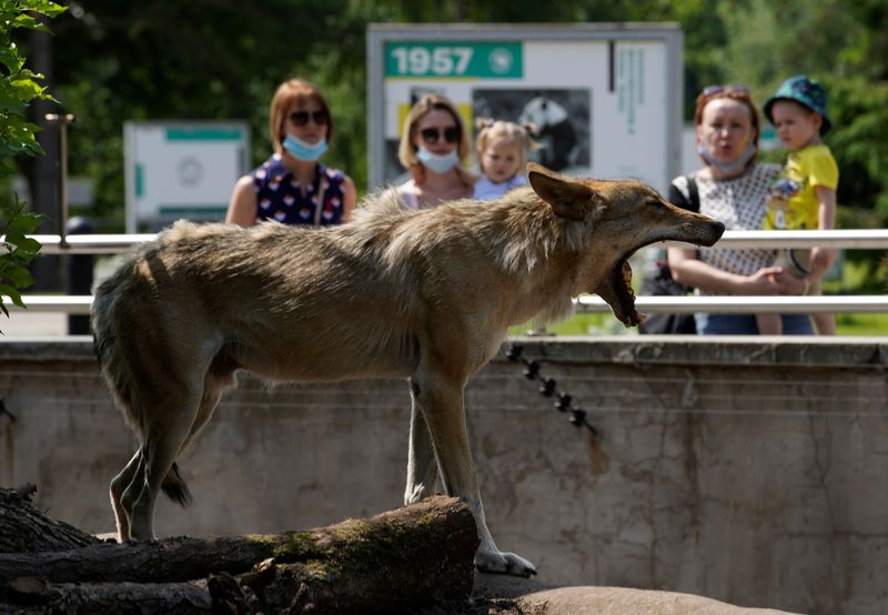 Moscow Zoo on the first day of its reopening after