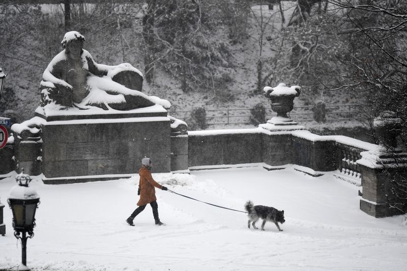 Woman walks her dog in the snow as stricter lockdown