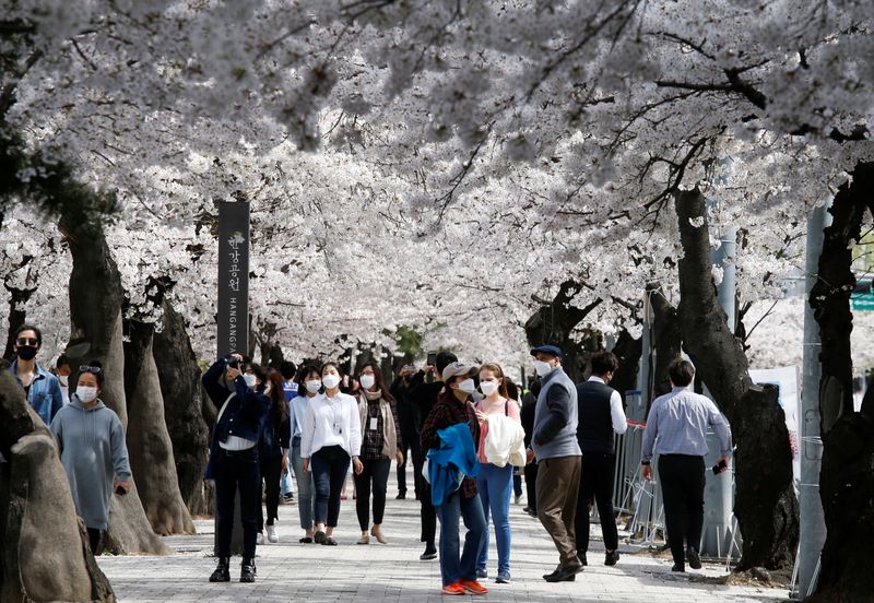 FILE PHOTO: People walk near a cherry blossom street, closed