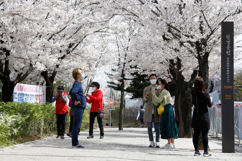 FILE PHOTO: People walk near a cherry blossom street, closed
