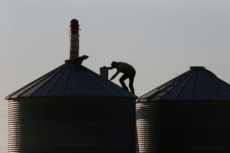 FILE PHOTO: Man checks grain bin on a farm in