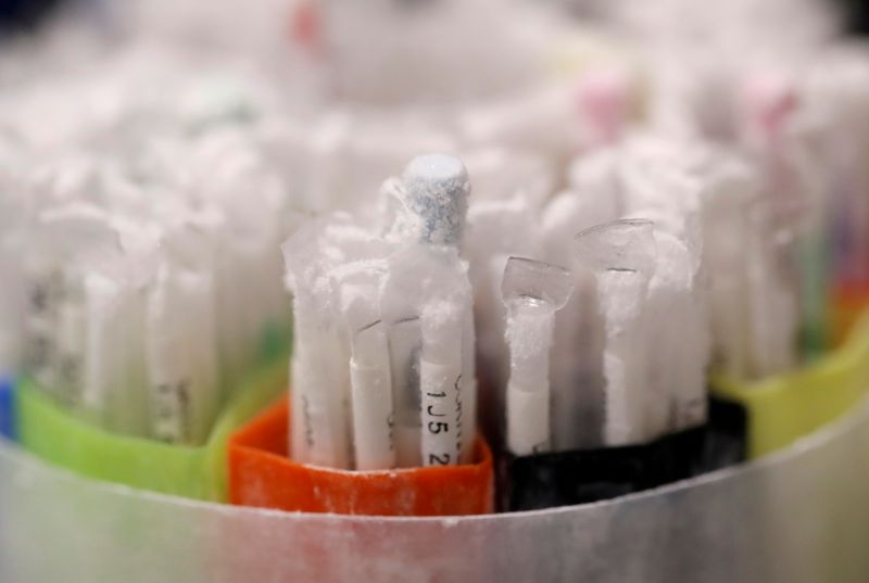 FILE PHOTO: Frozen vials of sperm are seen preserved in