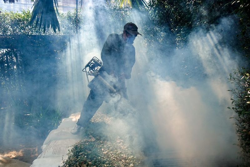 FILE PHOTO: A worker sprays insecticide for mosquitos at a