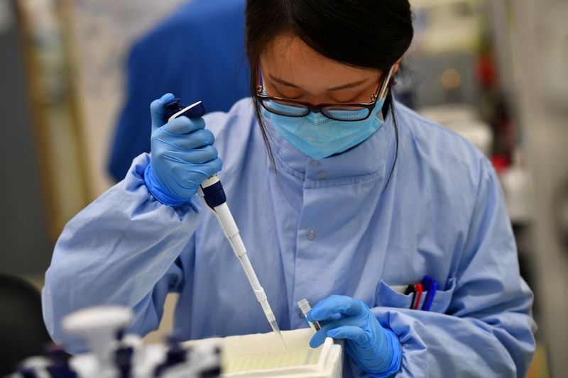 FILE PHOTO: Scientists work at a laboratory where they sequence