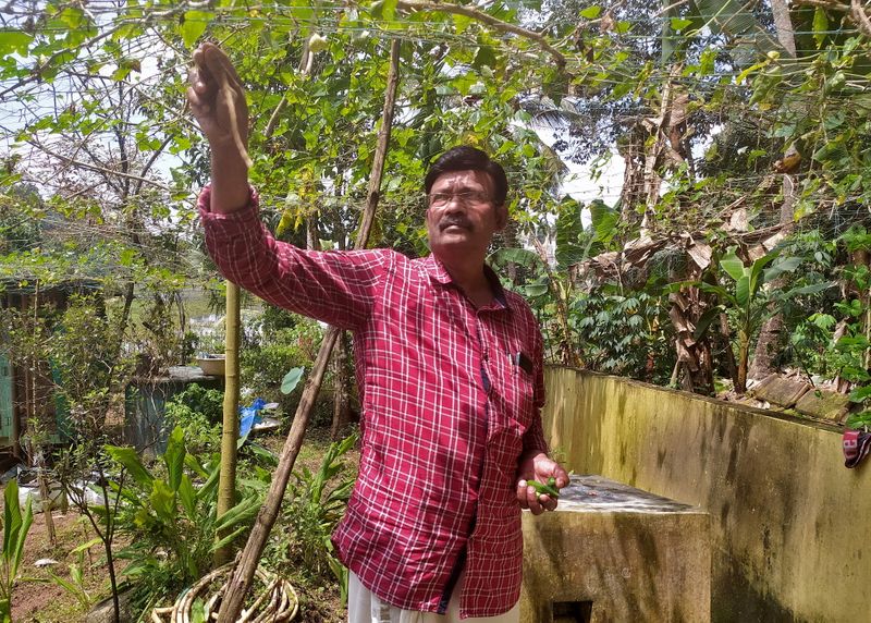 Sugathan P.R. collects vegetables in his kitchen garden in Pandalam