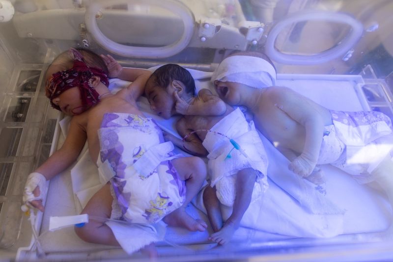 Three babies share an incubator at the premature infants ward