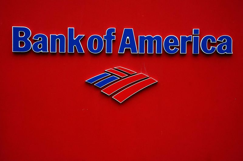FILE PHOTO: FILE PHOTO: A Bank of America logo is