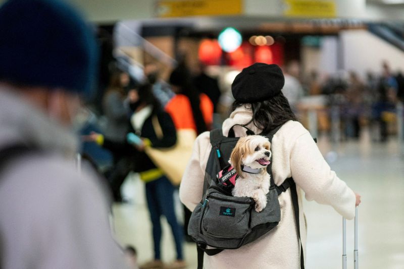 FILE PHOTO: Passengers travelling at Newark Liberty International Airport in