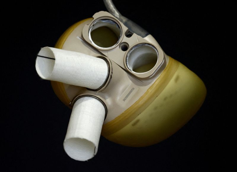 FILE PHOTO: Artificial heart produced by French manufacturer Carmat