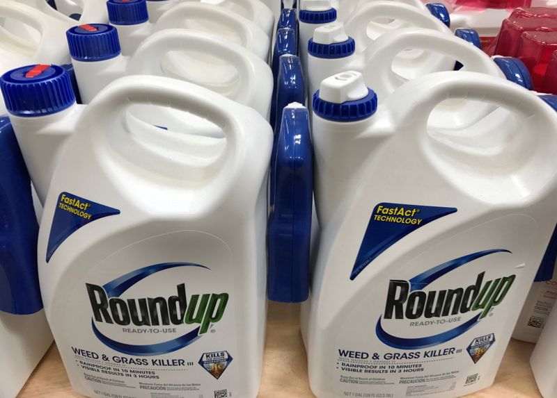 FILE PHOTO: Monsanto Co’s Roundup shown for sale in California