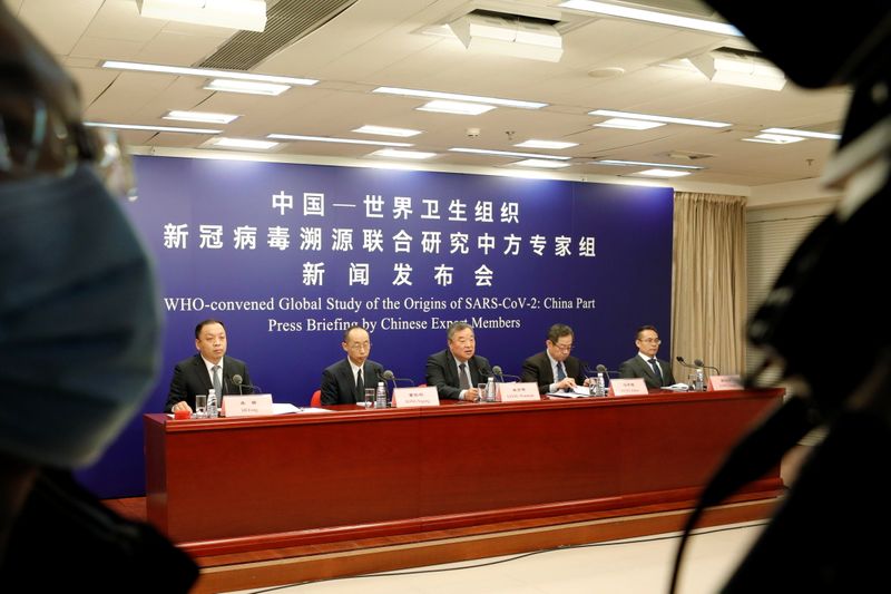 FILE PHOTO: News conference on the WHO-China joint study, in