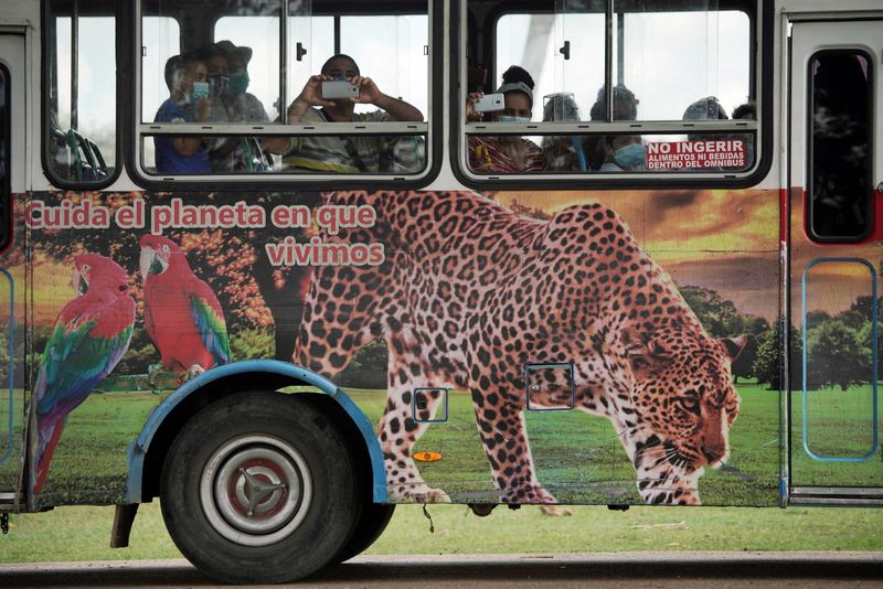 FILE PHOTO: Visitors take pictures at the zoo in Havana